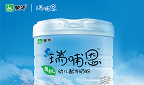 品牌营销策划