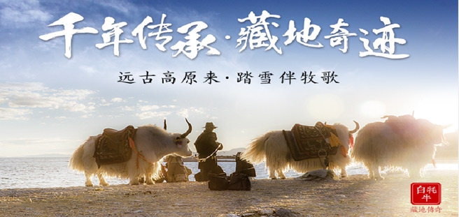 白牦牛