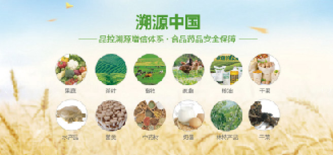 溯源中国
